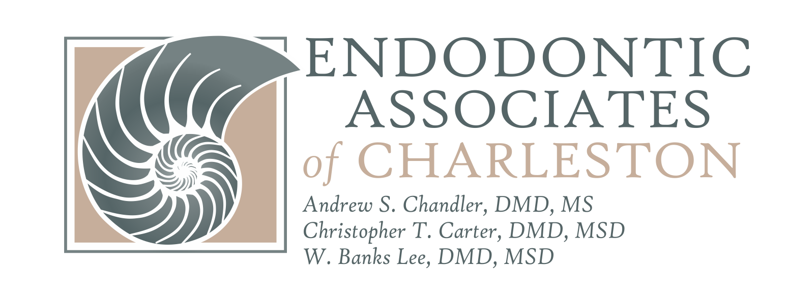 Updated Logo